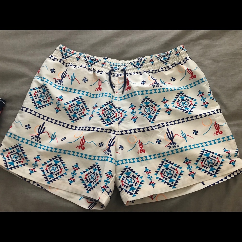 Chubbies Swim Trunks